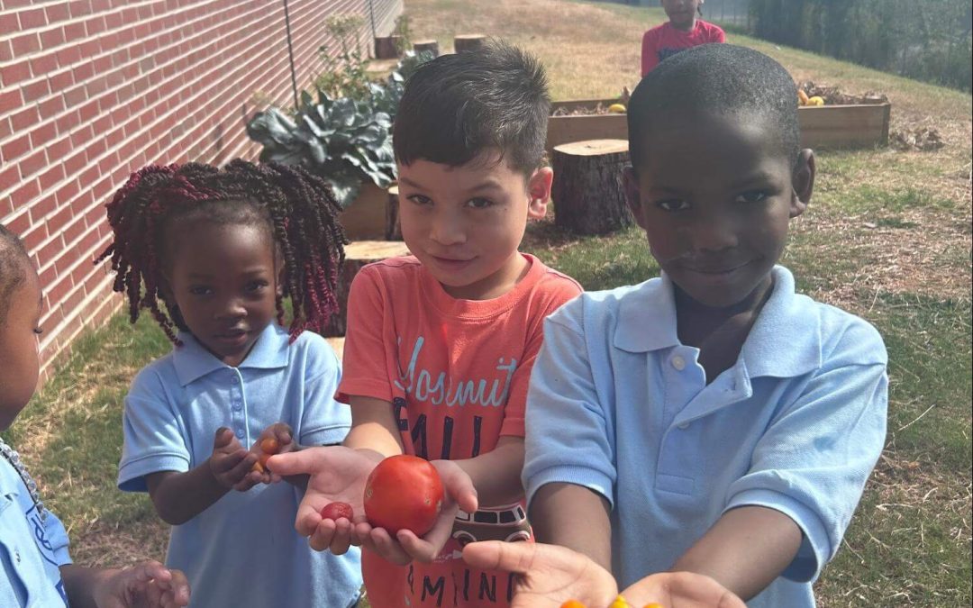 Frederick Elementary School’s Green Team Blossoms